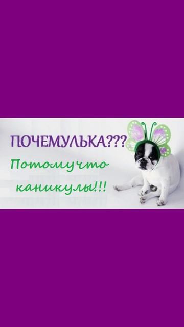 КАНИКУЛЫ!