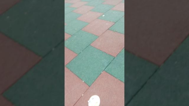 у моей дочки
 день рождения