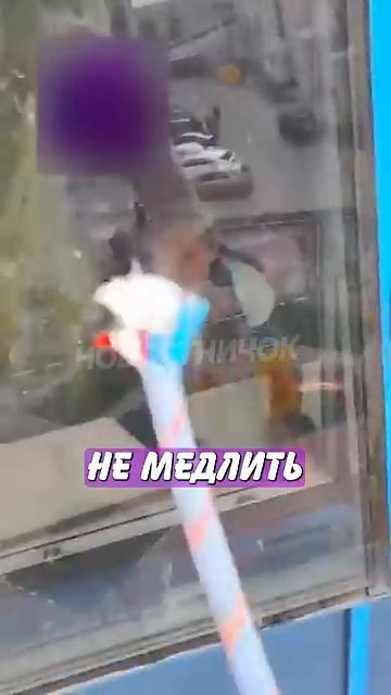 Новостничок (16)