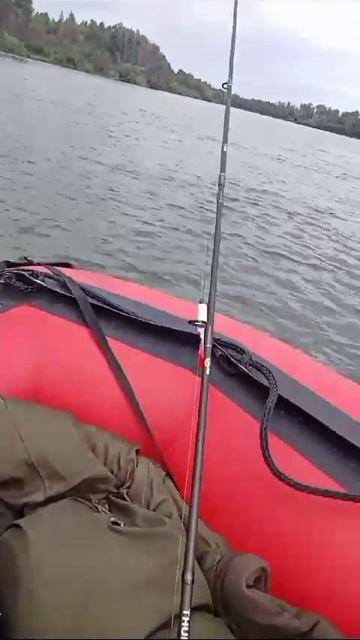 VID-20230828-WA0009