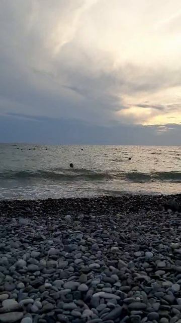 Шум моря. #shorts