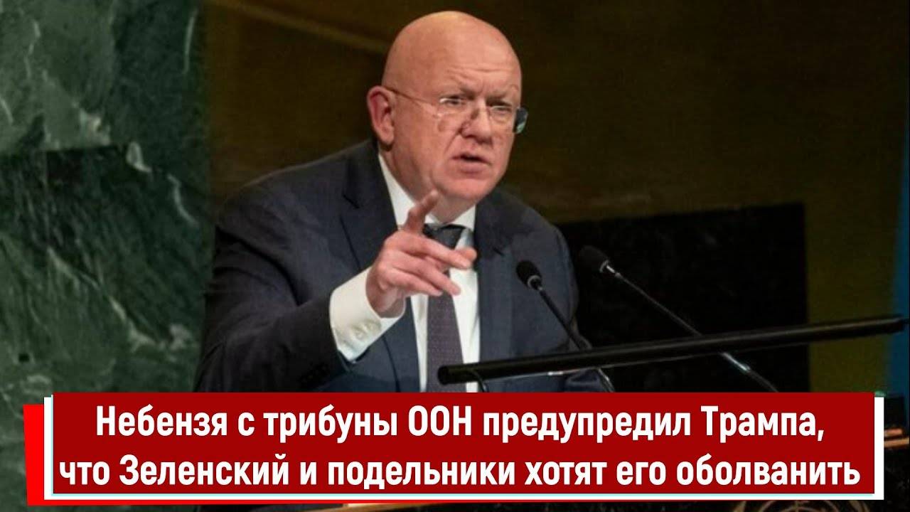 Небензя с трибуны ООН предупредил Трампа, что Зеленский и подельники хотят его оболванить