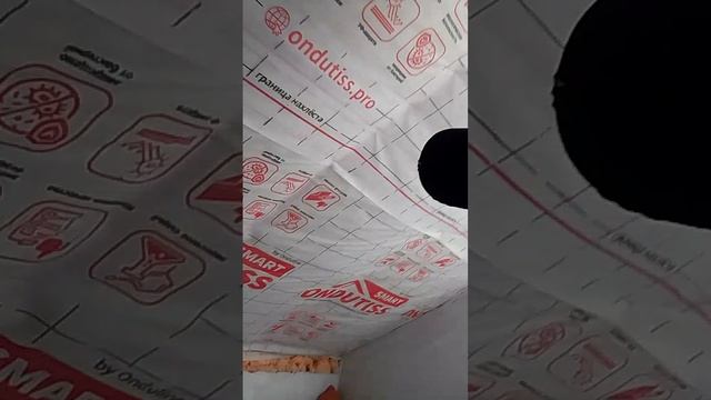 VID_20250601_153309.mp4