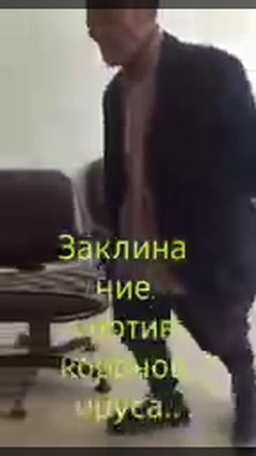 ЗАКЛИНАНИЕ.

1000017666.mp4