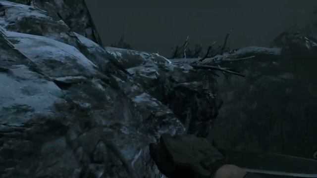 Medal of Honor # 7 Кролик