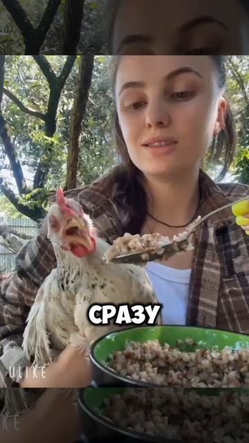 1 Июня 2025 г Гречка с курицей🤣😅😂. #shorts #юмор