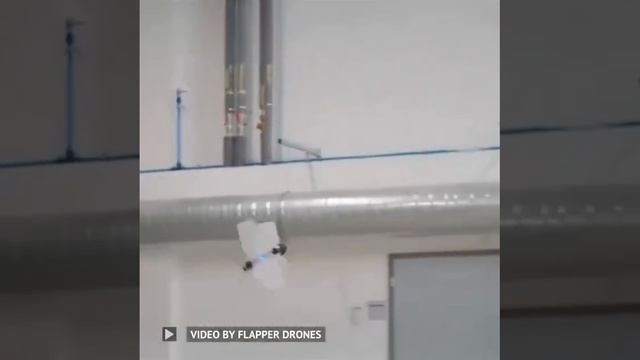 Flapper Nimble+ — это биоинспирированный дрон с машущим крылом от Flapper Drones.