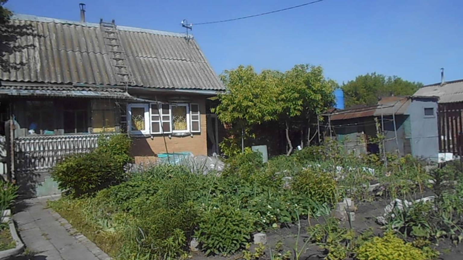 И ВСЕ ТАКИ ЗАМОРОЗКИ БЫЛИ