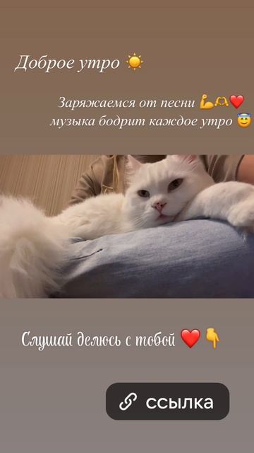 Белый и пушистый