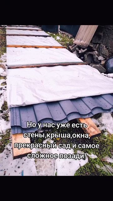 Наше будущее гнёздышко