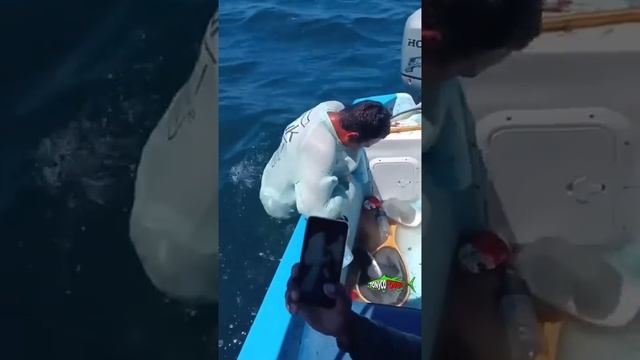 А вам слабо