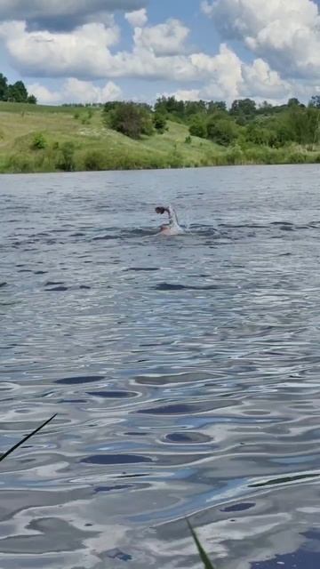 Сезон открыт 🏊
