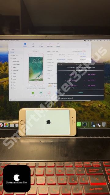 🔓 Разблокировка и обход iCloud блокировки (passcode) с сохранением сигнала на iPhone 8 64Gb Gold 🔓