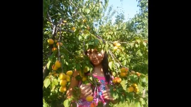 Садовые феи Валерия Железова