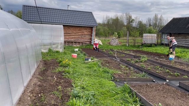 ВЫХОДНОЙ В ДЕРЕВНЕ/ ПОСАДИЛИ КАРТОШКУ/ 18 мая 2025г.