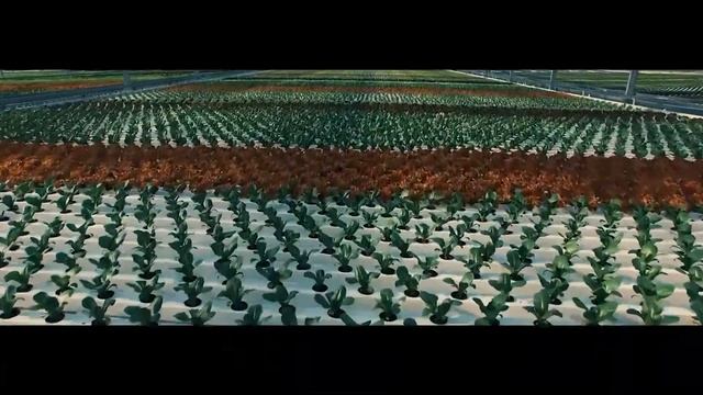 Рекламный ролик для компании "GreenECO" (свежая зелень)