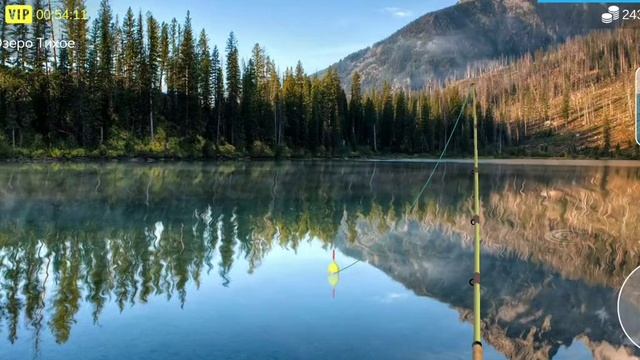 Как поймать осман в игре My Fishing World