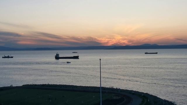 VID_20230713_205905