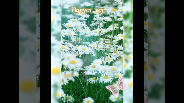 Вот и Лето пришло!🌺💐🌺