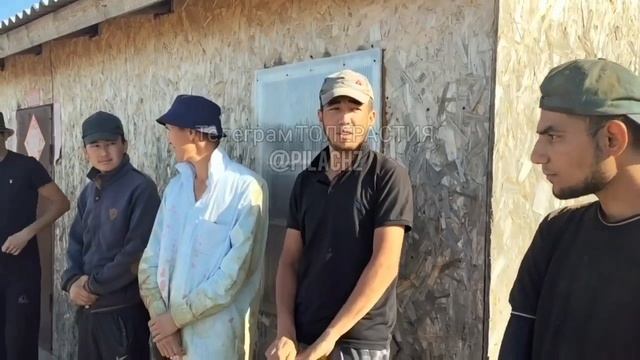 "Сколько букв в русском алфавите?"