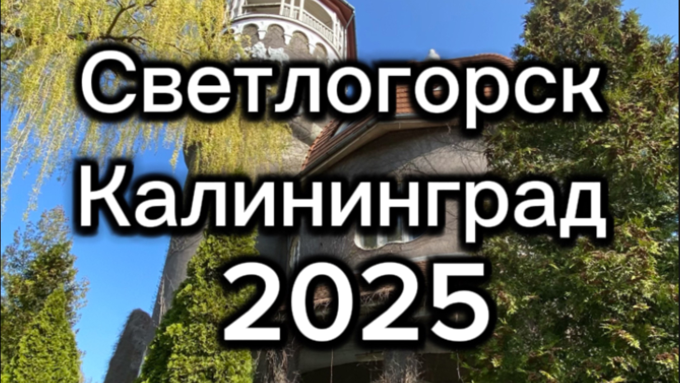 Светлогорск