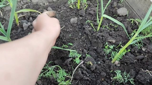 ГОТОВЛЮ ОБЕД/ВСЕ В РАБОТЕ👏