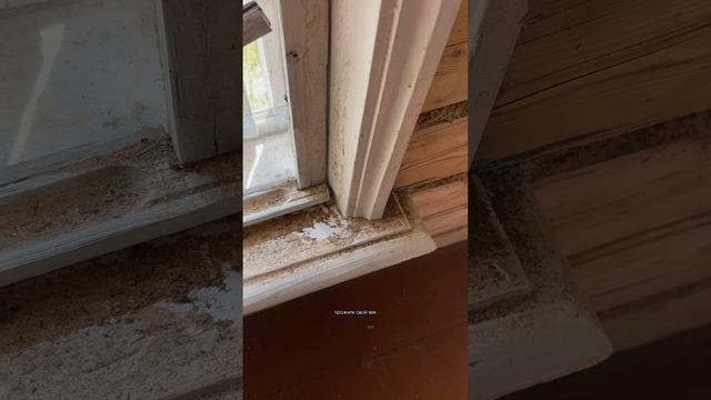 Продолжение ремонт в заброшенном доме 31.05.2025