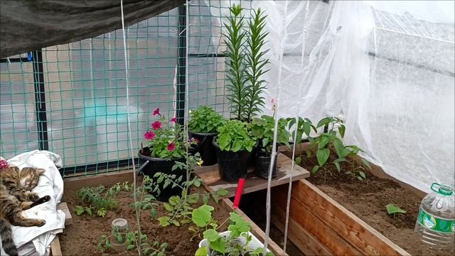 Ура лето 💃💃💃Заморозки и снегопады закончились 😊😊😊