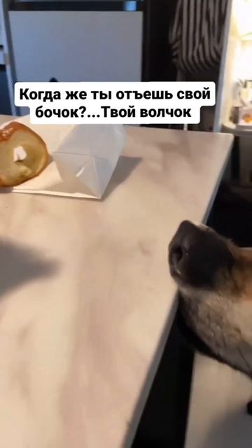 1000084365.mp4