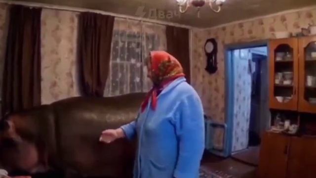 Домашний питомец