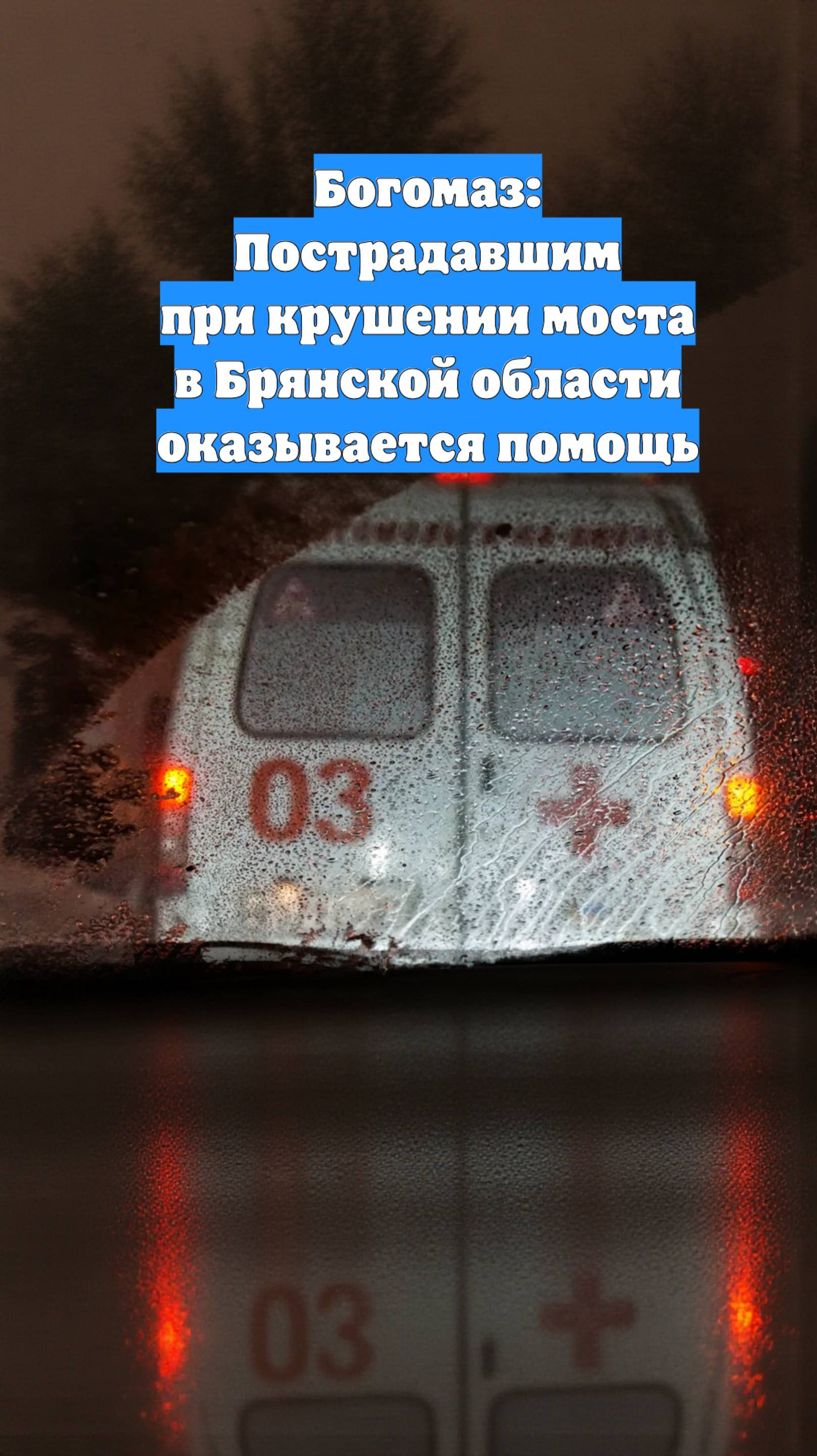 Богомаз: Пострадавшим при крушении моста в Брянской области оказывается помощь