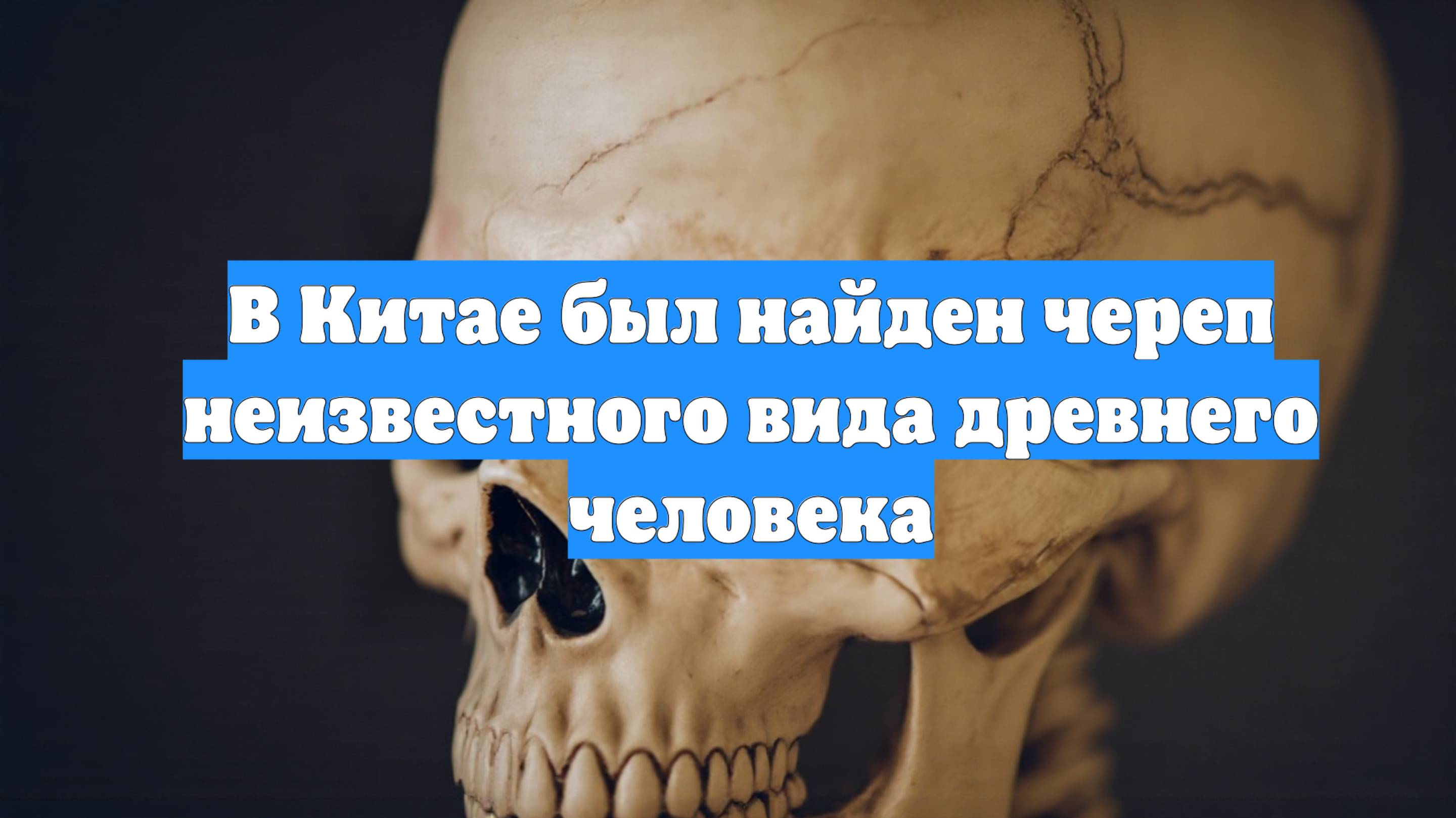 В Китае был найден череп неизвестного вида древнего человека