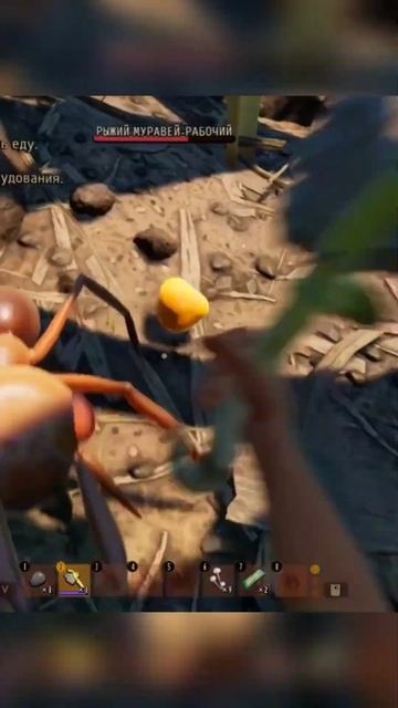 УКРАЛ ХЛЕБ У МУРАВЬЯ #short #shorts #themaska #grounded #рек #реки #шортс #рекомендации #тикток