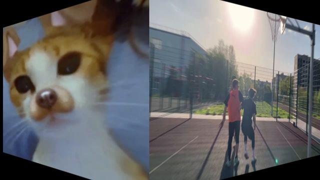 silly_edit4.mp4