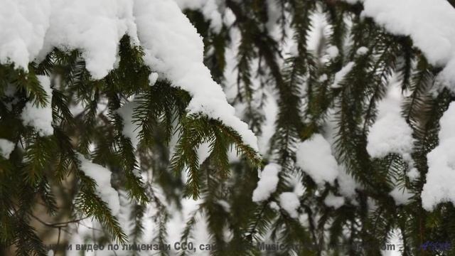 Это видео - как глоток свежего лесного воздуха! - Come and Go -- Jeremy Allingham -- Run Wild