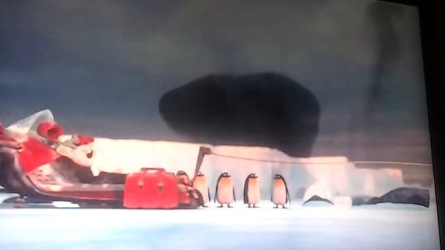 Бешеные  кролики