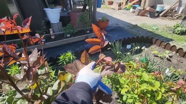 ВОТ что значит МУЖЧИНА😏ЕМУ нас женщин не ПОНЯТЬ😂 ПРОДЕЛАЛИ огромную РАБОТУ