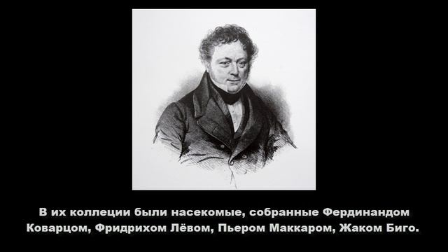 Джордж Веррал