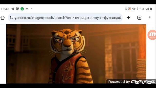 Тигрица заменила на сцене находящегося в реанимации Кунг Фу Панду он в тяжелом состоянии 02.06.25