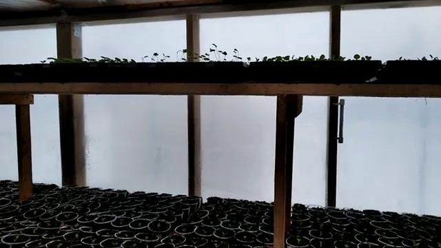 Запасное ОТОПЛЕНИЕ ДЛЯ ЗИМНЕЙ ТЕПЛИЦЫ своими руками Так получилось!
