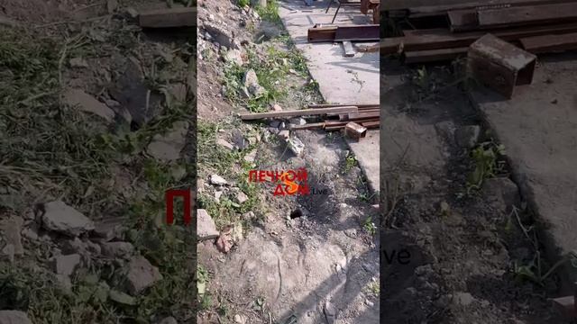 Демонтируем старый забор и тестим инструмент. 02-06-2025