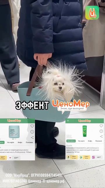 Эффект Ценомера