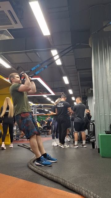 Бицепсы в функциональных петлях