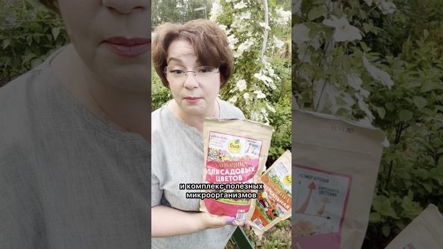 Чем удобрить клематисы?