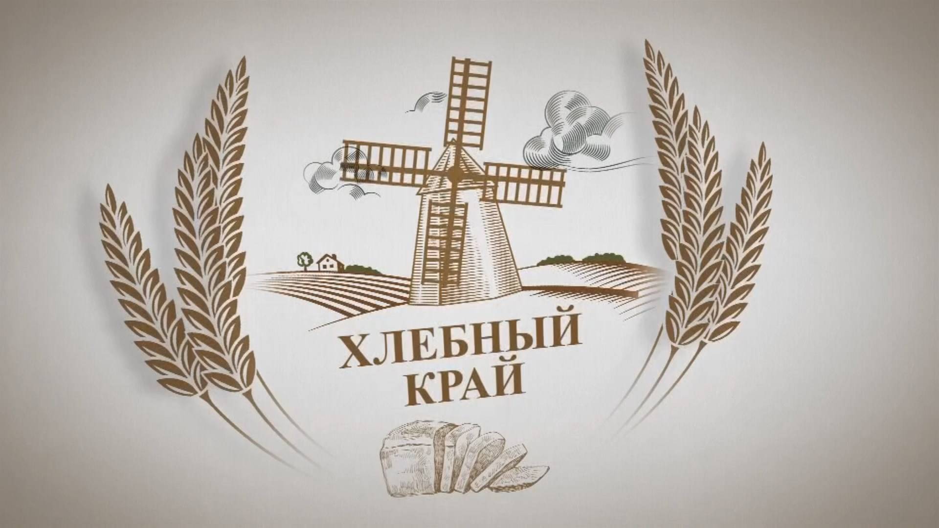 «Хлебный край». Современный АГАУ: на волне цифровых технологий