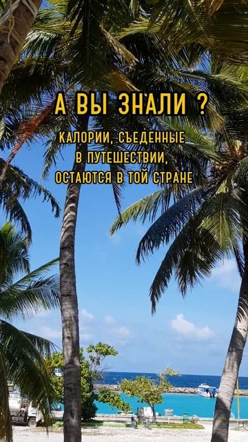 А вы знали ? 😁