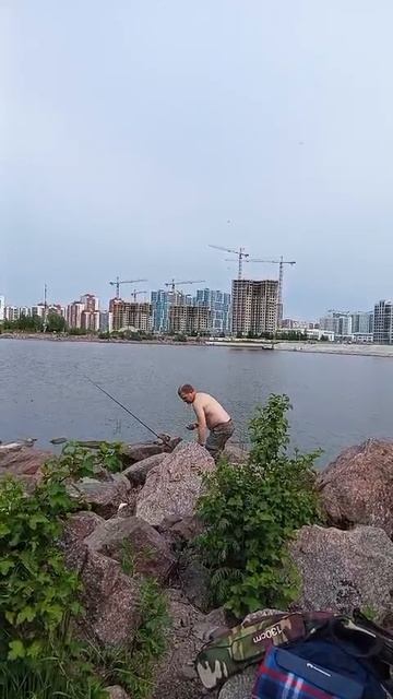 1000012211.mp4