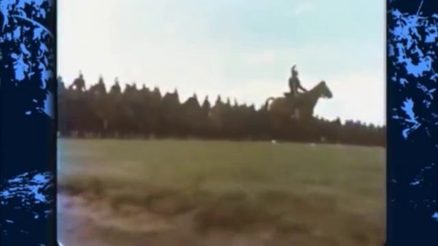 История России. Савромат. Завоевание Волжской Булгарии. 3. Численность лошадей