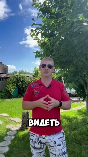 У тебя ничего не получится!