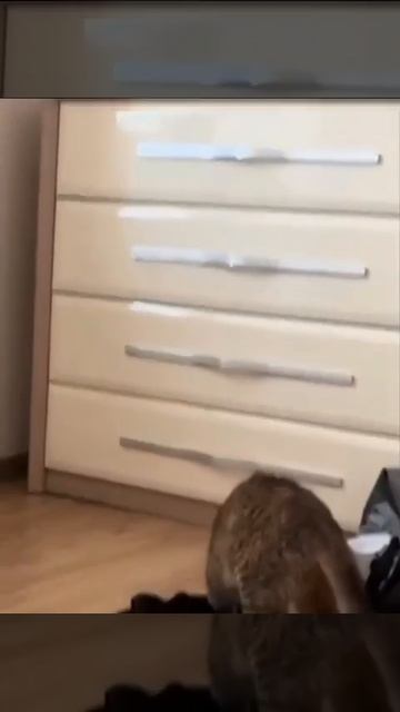 Всё самому приходится делать😍